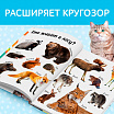 Книга в твёрдом переплёте «Первые 500 слов малыша», 80 стр.-4